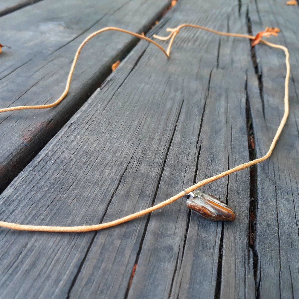 Adjustable Golden Shark Tooth Necklace